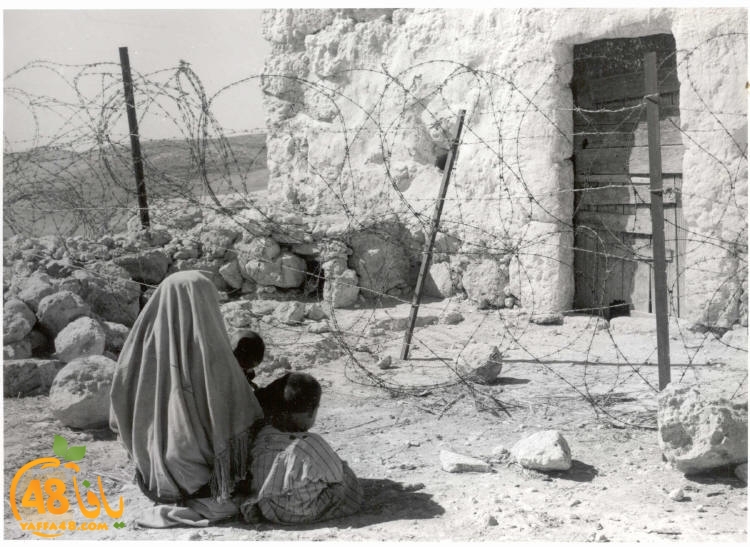 nakba (1).jpg